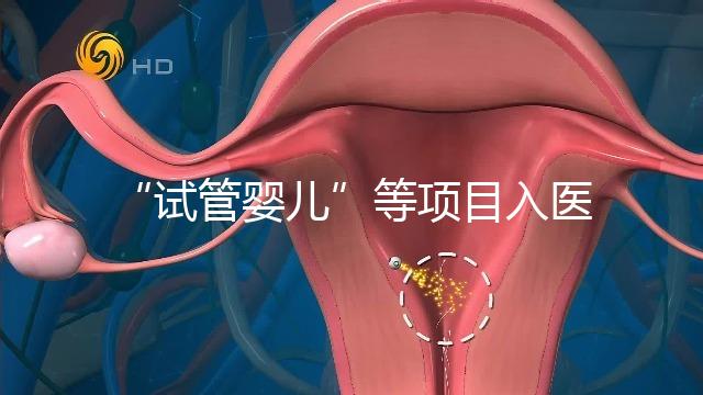 “試管嬰兒”等項目入醫保能如期落地嗎？廣西回應