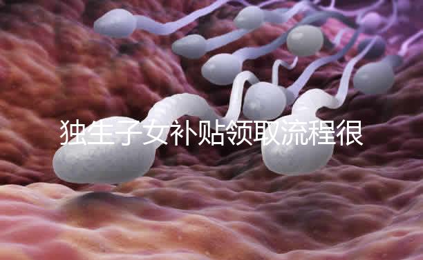 獨生子女補貼領(lǐng)取流程很簡單,攜帶好相關(guān)證件是關(guān)鍵