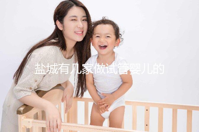 鹽城有幾家做試管嬰兒的醫院? 還有成功率、費用都在這