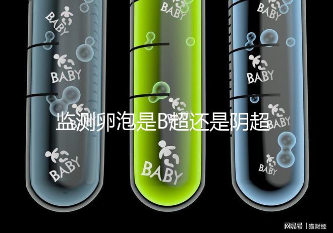 監測卵泡是B超還是陰超?陰道超聲和腹部超聲的區別不止探頭