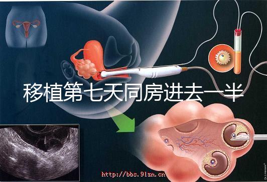 移植第七天同房進去一半有無影響戳，沒出血問題就不大