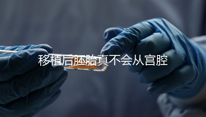 移植后胚胎真不會從宮腔掉出來！原因有這些...