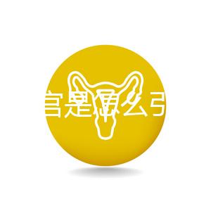 縱隔子宮是怎么引起的？十有八九是這些原因導致