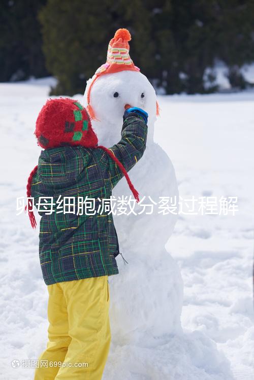 卵母細胞減數分裂過程解讀，從出生到成熟必經這3個階段