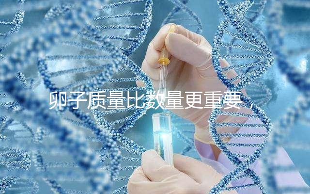 卵子質量比數量更重要，9個卵泡生男孩也很難