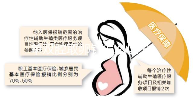 單雙腔取卵針怎么區(qū)分,針號結構是關鍵(內含說明書)