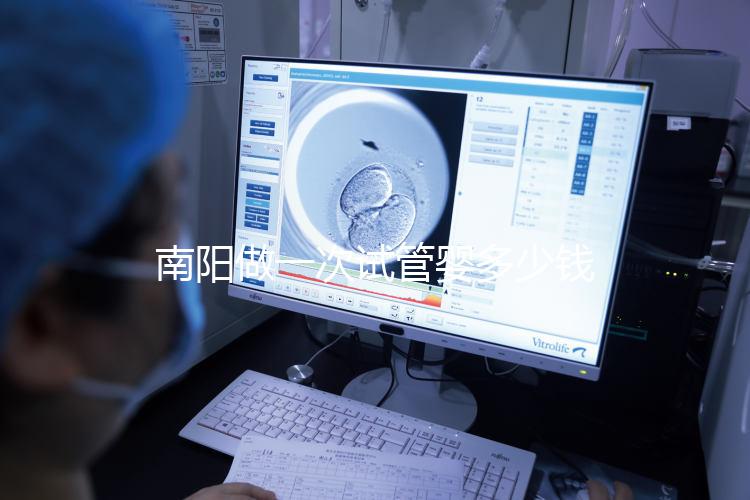 南陽(yáng)做一次試管嬰多少錢(qián)-南陽(yáng)試管嬰兒費(fèi)用明細(xì)