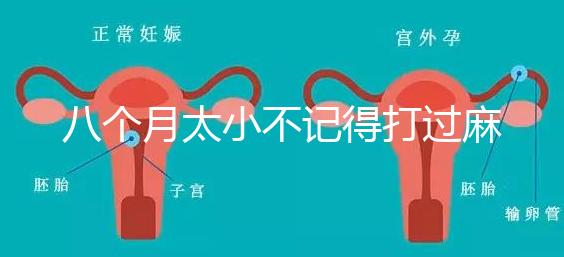 八個(gè)月太小不記得打過(guò)麻風(fēng)疫苗看這，2大反應(yīng)教你辨別