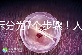 共拆分為7個步驟！人工授精自然周期流程全解