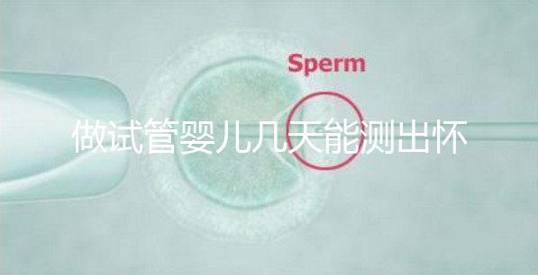 做試管嬰兒幾天能測出懷孕，3招教你提高試管成功率