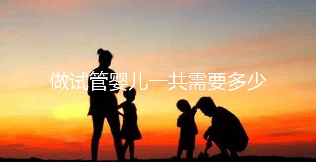 做試管嬰兒一共需要多少錢？