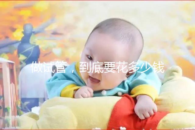 做試管，到底要花多少錢？！??！