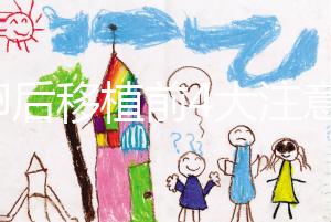 取卵后移植前4大注意事項要謹記！提升試管成功率就靠它