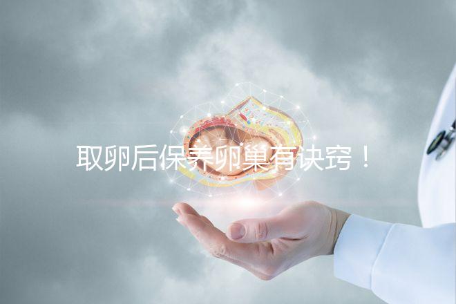 取卵后保養(yǎng)卵巢有訣竅!7種方法助你快速恢復(fù)