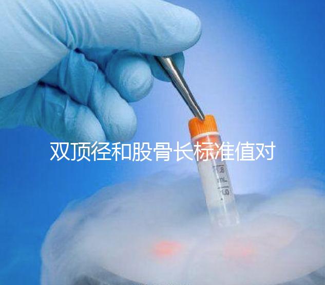 雙頂徑和股骨長(zhǎng)標(biāo)準(zhǔn)值對(duì)照表，各懷孕周數(shù)差異明顯