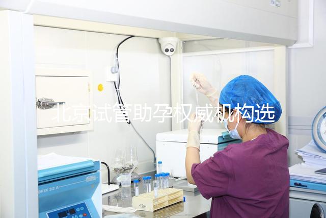 北京試管助孕權威機構選擇完全指南