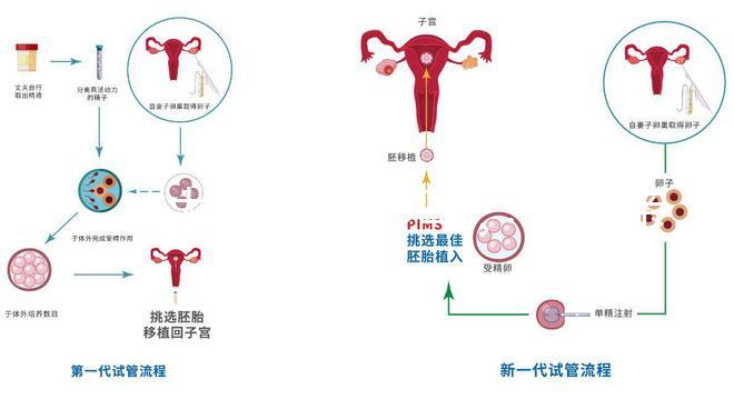 北大試管之路??：我的親歷