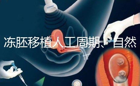 凍胚移植人工周期、自然周期怎么選？哪個(gè)成功率高？