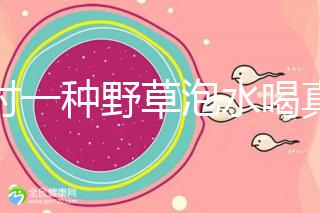 農村一種野草泡水喝真能治便秘！配合這九種中草藥效果更好