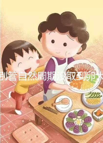 別管自然周期沒取到卵大夫當(dāng)時(shí)會不會說了，沒通知這么辦