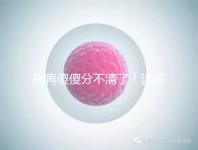 別再傻傻分不清了！詳解美國試管嬰兒和人工授精的區別