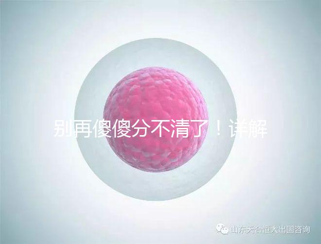 別再傻傻分不清了！詳解美國試管嬰兒和人工授精的區(qū)別