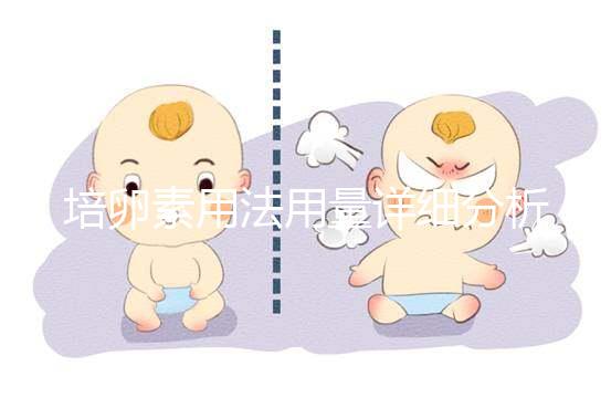 培卵素用法用量詳細(xì)分析，不同情況服用時間有差異