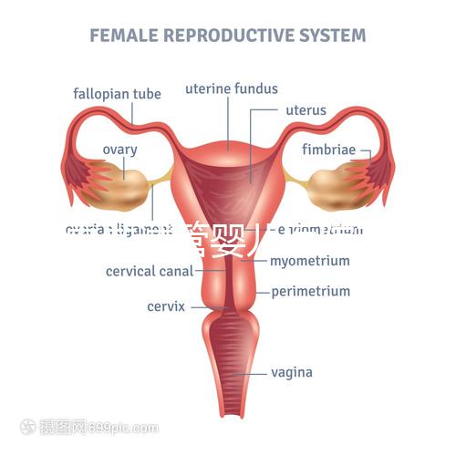 國內做試管嬰兒醫院有哪些？附全國十大試管醫院排名