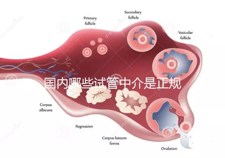 國內哪些試管中介是正規的看過來，可不止北京百匯這一家