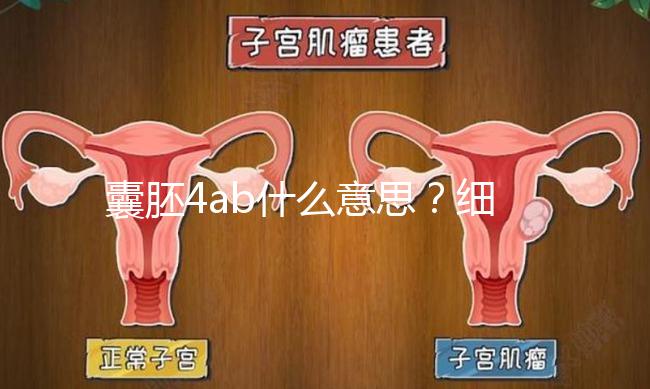 囊胚4ab什么意思？細(xì)說(shuō)移植成功率