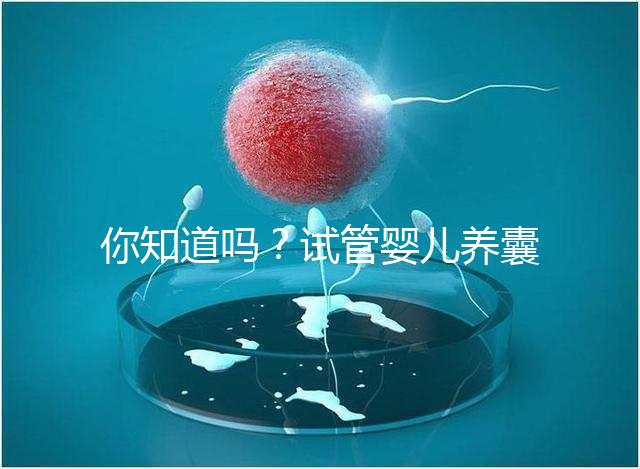 你知道嗎?試管嬰兒養(yǎng)囊的過程比“高考”更殘酷
