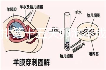 促排第十五天卵泡不成熟還可以治療！1.2等幾天就能長(zhǎng)大