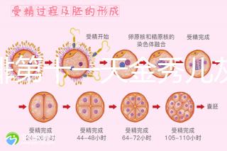 促排第十一天金秀兒灰印、白板均有希望，抽血hcg2懷孕懸