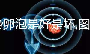 優(yōu)勢卵泡是好是壞,圖片僅供認識,判斷還需要3點