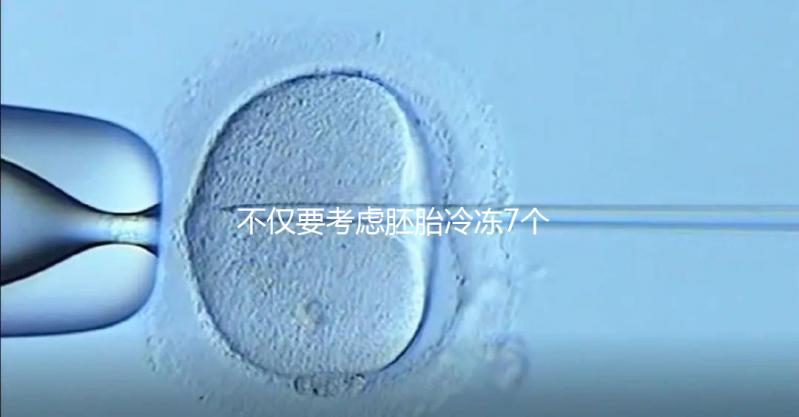 不僅要考慮胚胎冷凍7個月是否可以移植，還要了解受孕率的影響