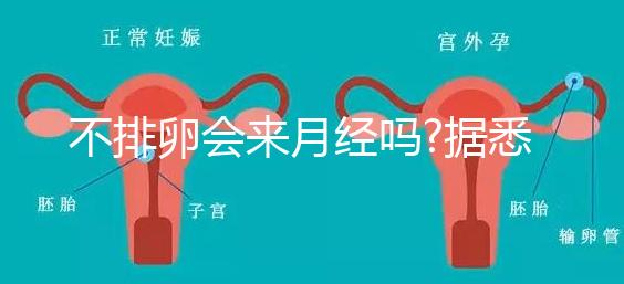 不排卵會(huì)來月經(jīng)嗎?據(jù)悉并不會(huì)推遲"大姨媽"的到來