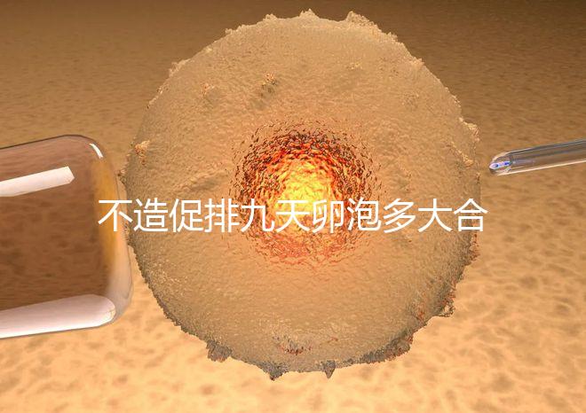 不造促排九天卵泡多大合適的瞧，卵巢功能好卵子10還能長