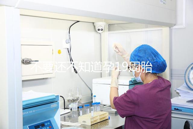 不要還不知道孕19周胎教音樂是怎么放的先聽聽有用嗎？