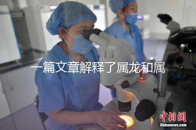 一篇文章解釋了屬龍和屬兔的人能否在一起，他們將如何全部包括在內