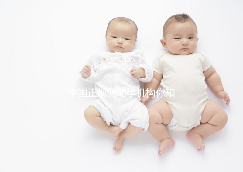 中國正規的助孕機構你知道哪些？詳盡助孕公司排名一覽