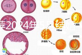 推薦2024年5月結婚的良辰吉日，最吉利的要數…