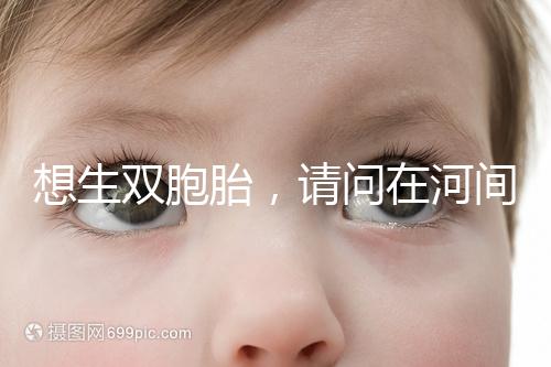 想生雙胞胎，請問在河間市有醫院能做試管嬰兒嗎？