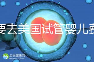 想要去美國(guó)試管嬰兒費(fèi)用要花多少錢？2025年費(fèi)用明細(xì)！