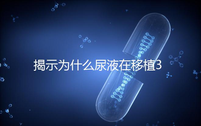 揭示為什么尿液在移植30天后需要稀釋才能測量，正常情況下不一目了然