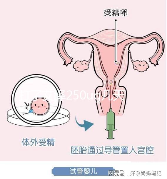 打了艾澤250ug幾天能代謝完戳，第十天別還不敢走下一步