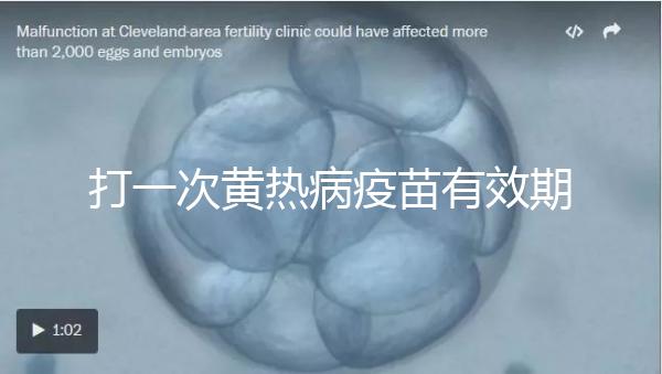 打一次黃熱病疫苗有效期限10年,提前注射時間是關(guān)鍵