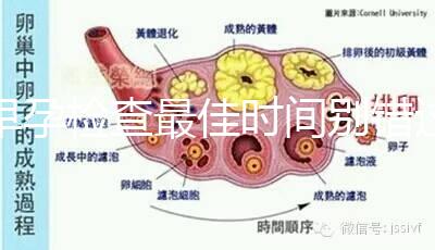 早孕檢查最佳時間別錯過，事關(guān)寶寶健康不可馬虎大意