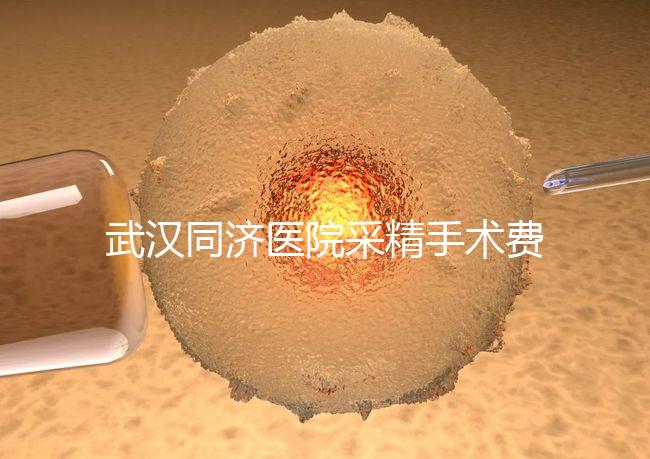 武漢同濟(jì)醫(yī)院采精手術(shù)費(fèi)用分析，顯微采精也可報(bào)銷