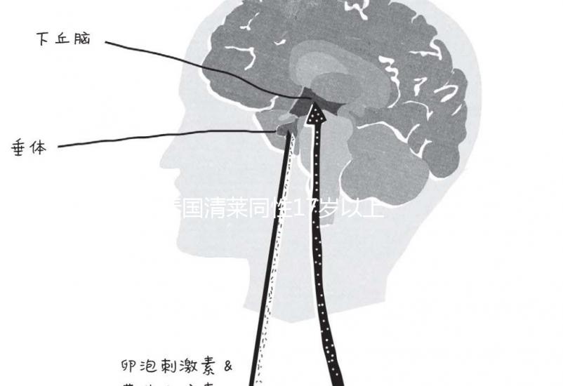 泰國清萊同性17歲以上便能結(jié)婚，在國內(nèi)承不承認進來看
