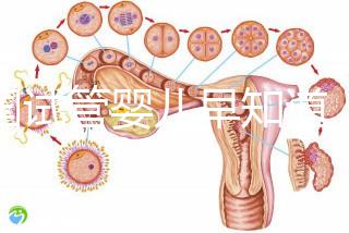 泰國試管嬰兒早知道，威它尼醫院Vejthani圖文攻略
